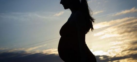 a3cbd9fb7b72a5933fcda04a853c2616 thumb 565