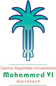 logo chu marrakech1